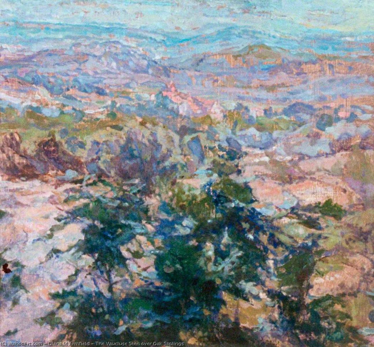 Wikioo.org - The Encyclopedia of Fine Arts - Painting, Artwork by Diana M Armfield - The Vaucluse Seen over Oak Saplings