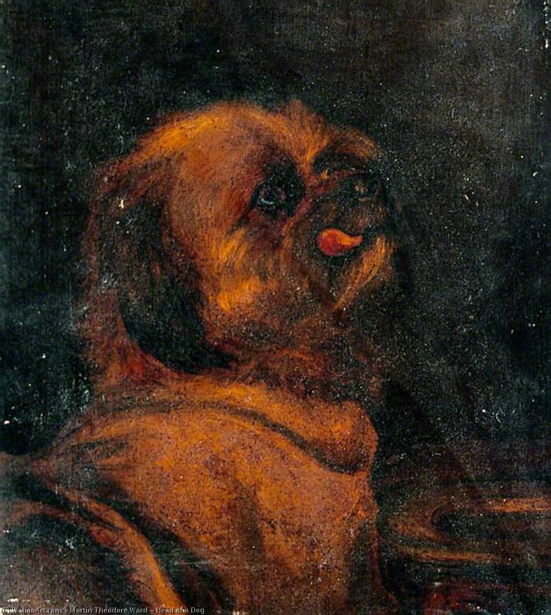 Wikioo.org - The Encyclopedia of Fine Arts - Painting, Artwork by Martin Theodore Ward - Head of a Dog