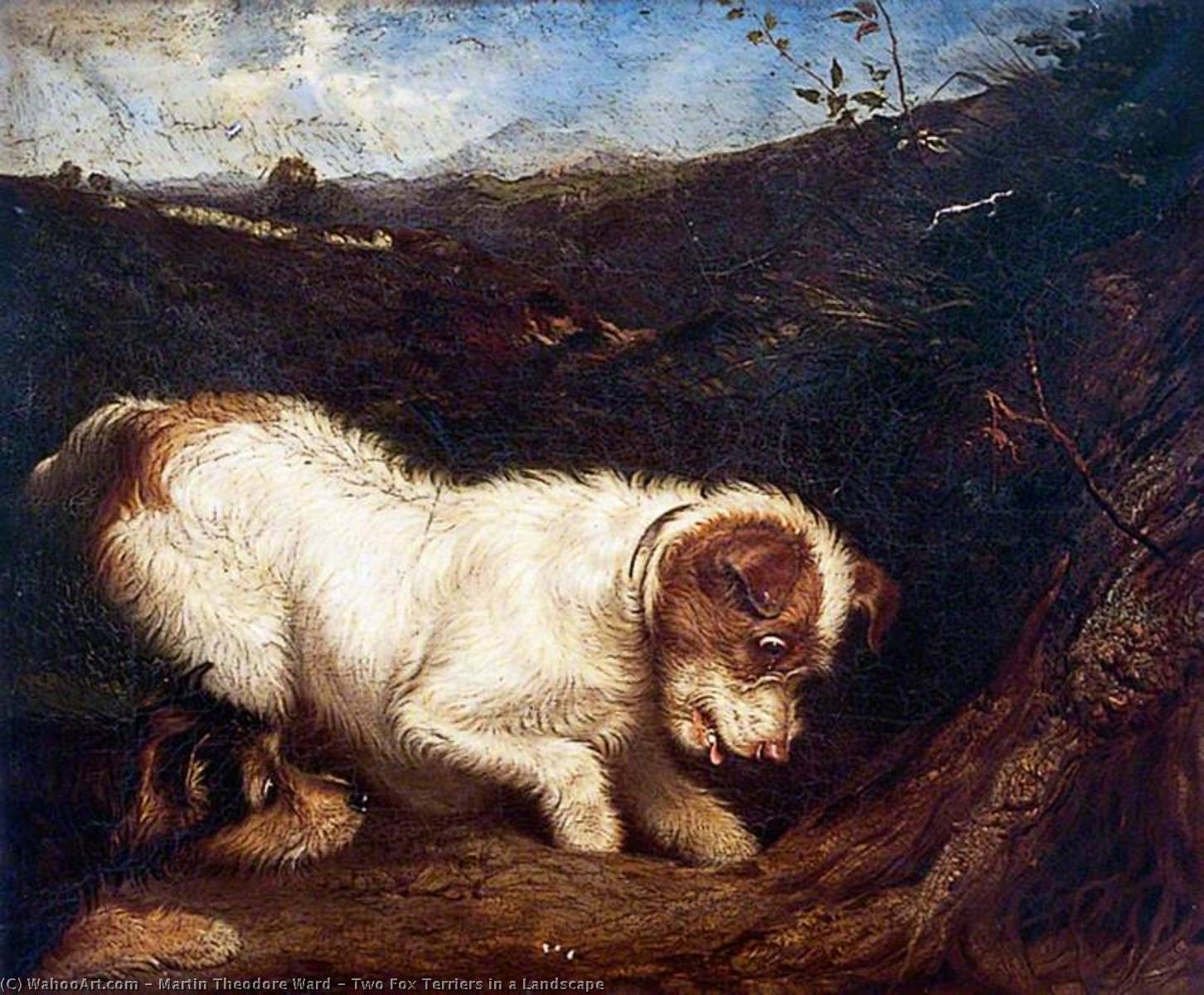 Wikioo.org - The Encyclopedia of Fine Arts - Painting, Artwork by Martin Theodore Ward - Two Fox Terriers in a Landscape