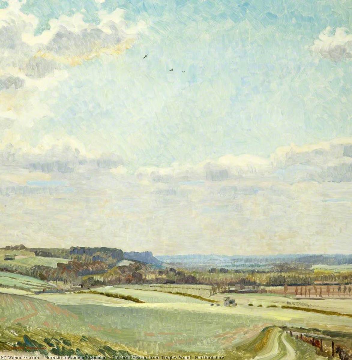 WikiOO.org - Encyclopedia of Fine Arts - Lukisan, Artwork Norman Alexander Buchanan - Towards Hexton from Tingley Wood, Hertfordshire