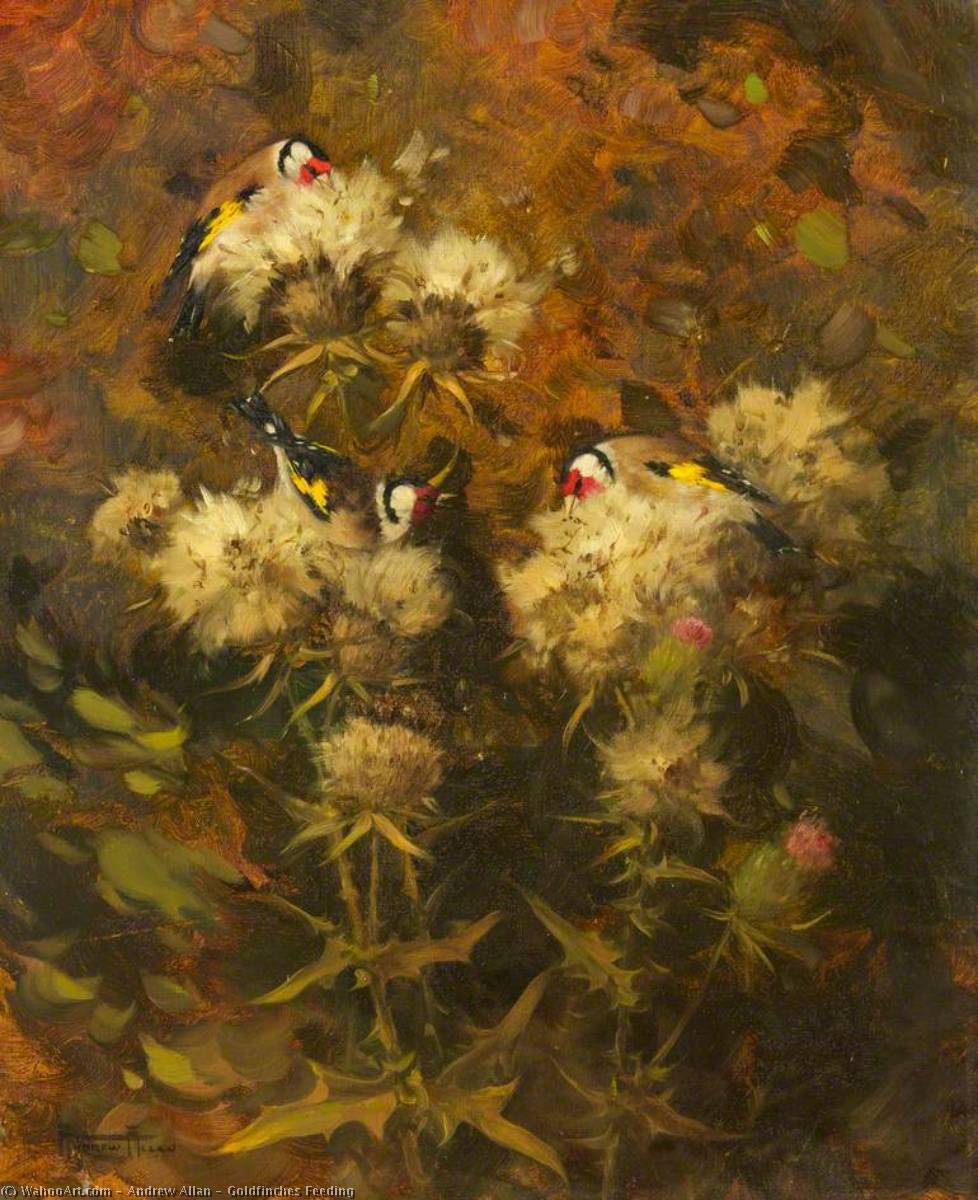 Wikioo.org - The Encyclopedia of Fine Arts - Painting, Artwork by Andrew Allan - Goldfinches Feeding