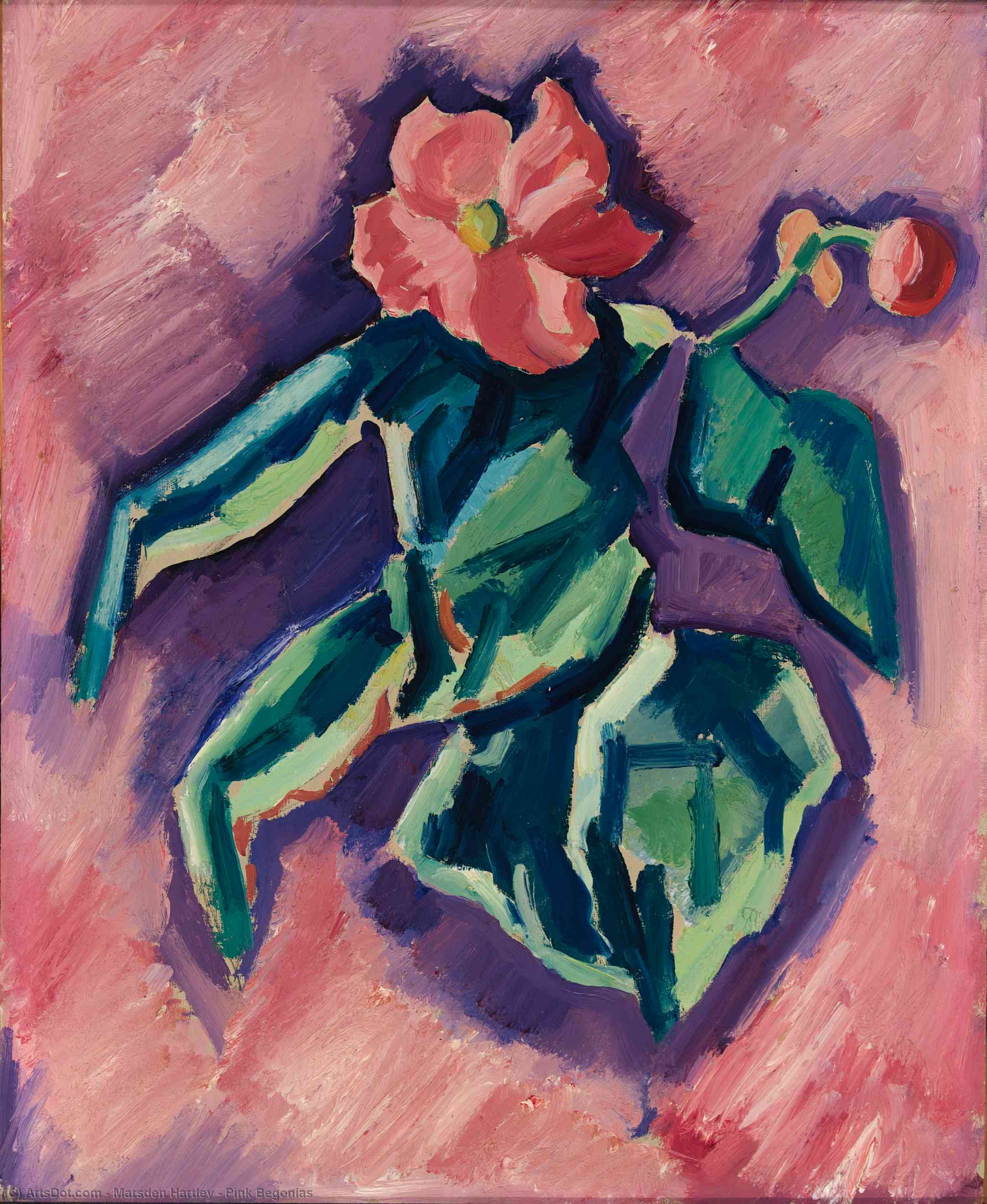 Wikioo.org - The Encyclopedia of Fine Arts - Painting, Artwork by Marsden Hartley - Pink Begonias