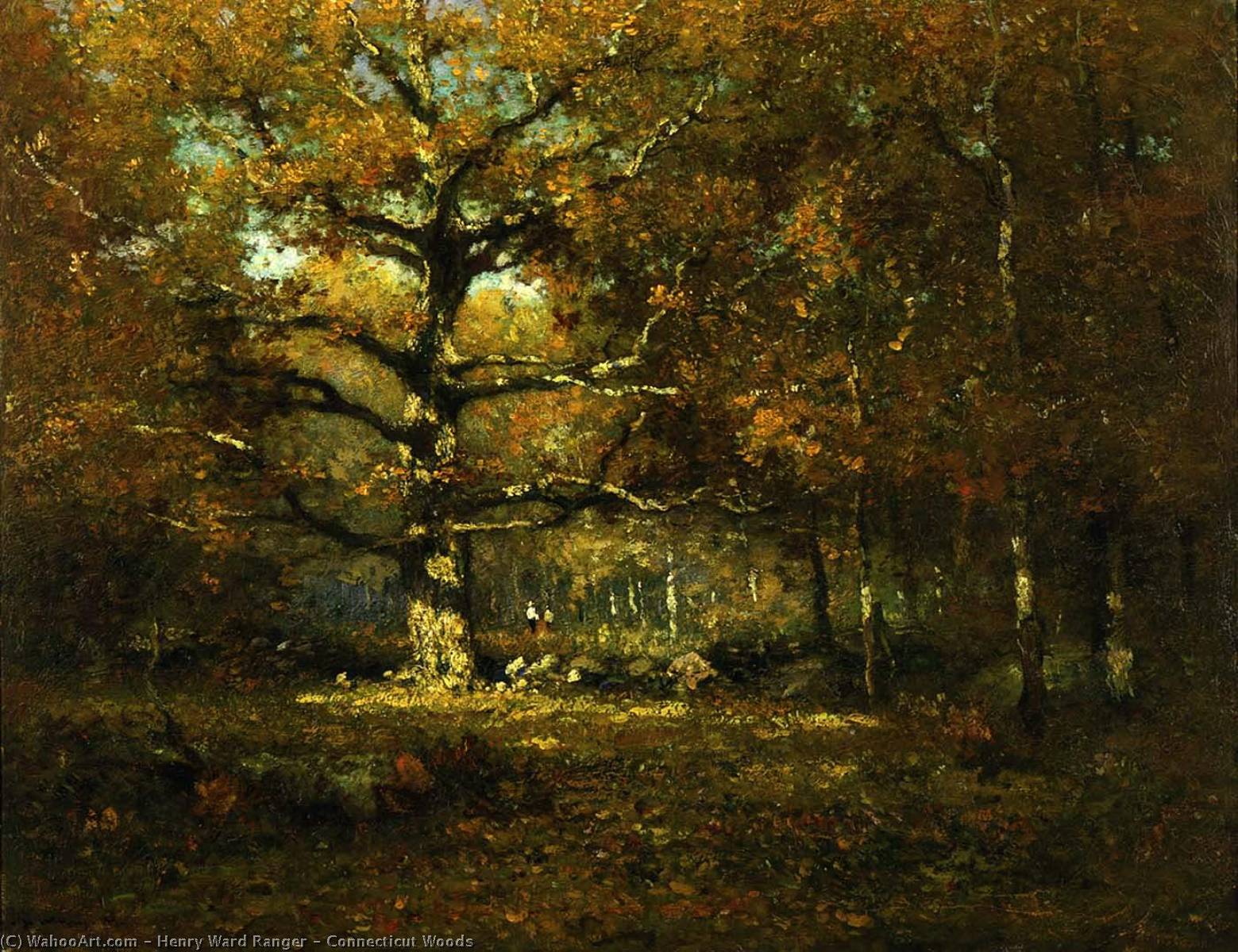 Wikioo.org - The Encyclopedia of Fine Arts - Painting, Artwork by Henry Ward Ranger - Connecticut Woods