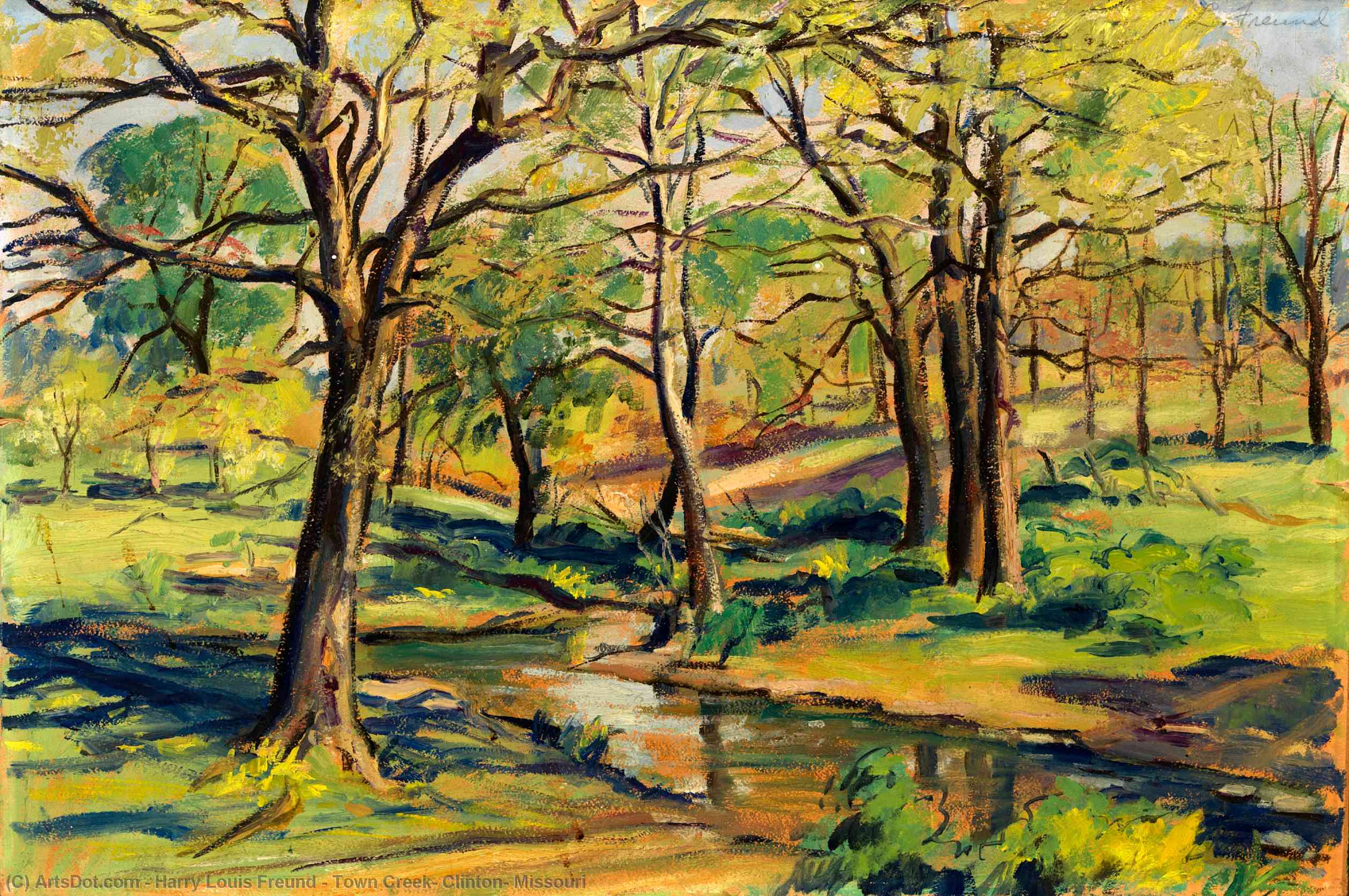 Wikioo.org - The Encyclopedia of Fine Arts - Painting, Artwork by Harry Louis Freund - Town Creek, Clinton, Missouri