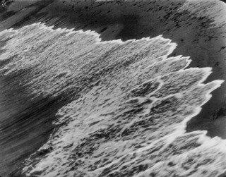 WikiOO.org - Enciclopédia das Belas Artes - Pintura, Arte por Ralph Steiner - Surf and Seaweed