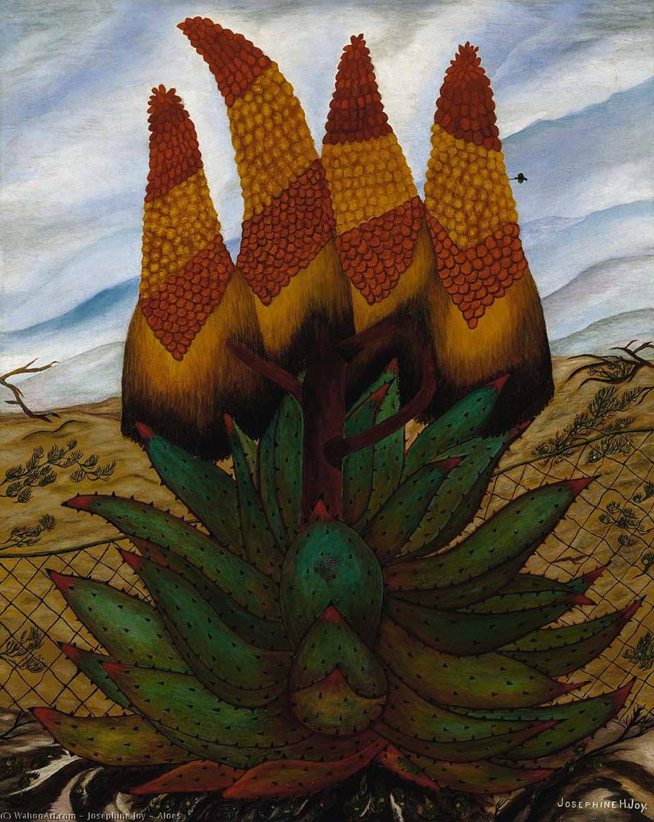 Wikioo.org - The Encyclopedia of Fine Arts - Painting, Artwork by Josephine Joy - Aloes