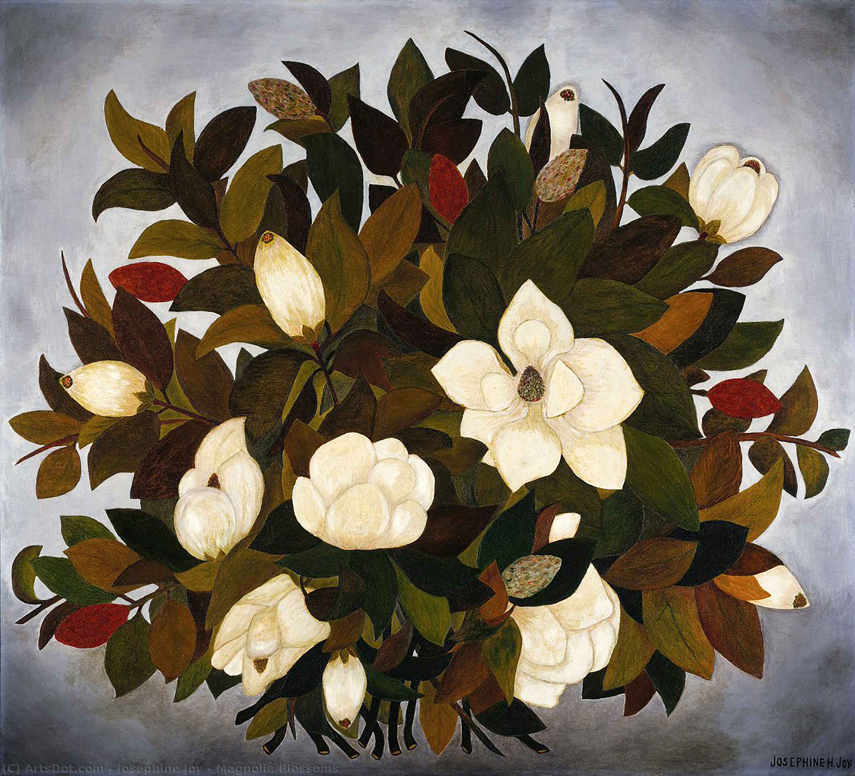 Wikioo.org - The Encyclopedia of Fine Arts - Painting, Artwork by Josephine Joy - Magnolia Blossoms