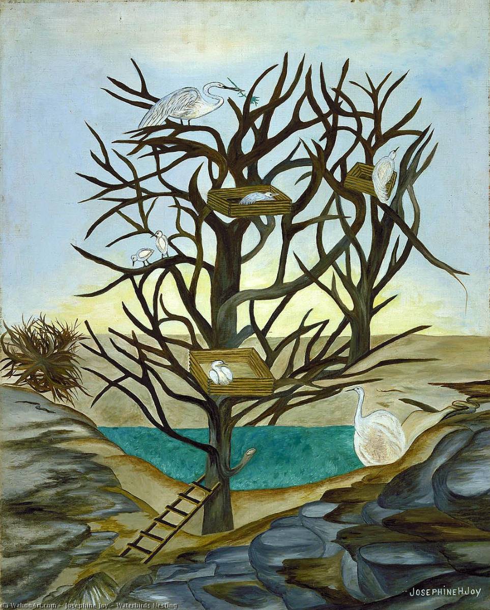 Wikioo.org - The Encyclopedia of Fine Arts - Painting, Artwork by Josephine Joy - Waterbirds Nesting