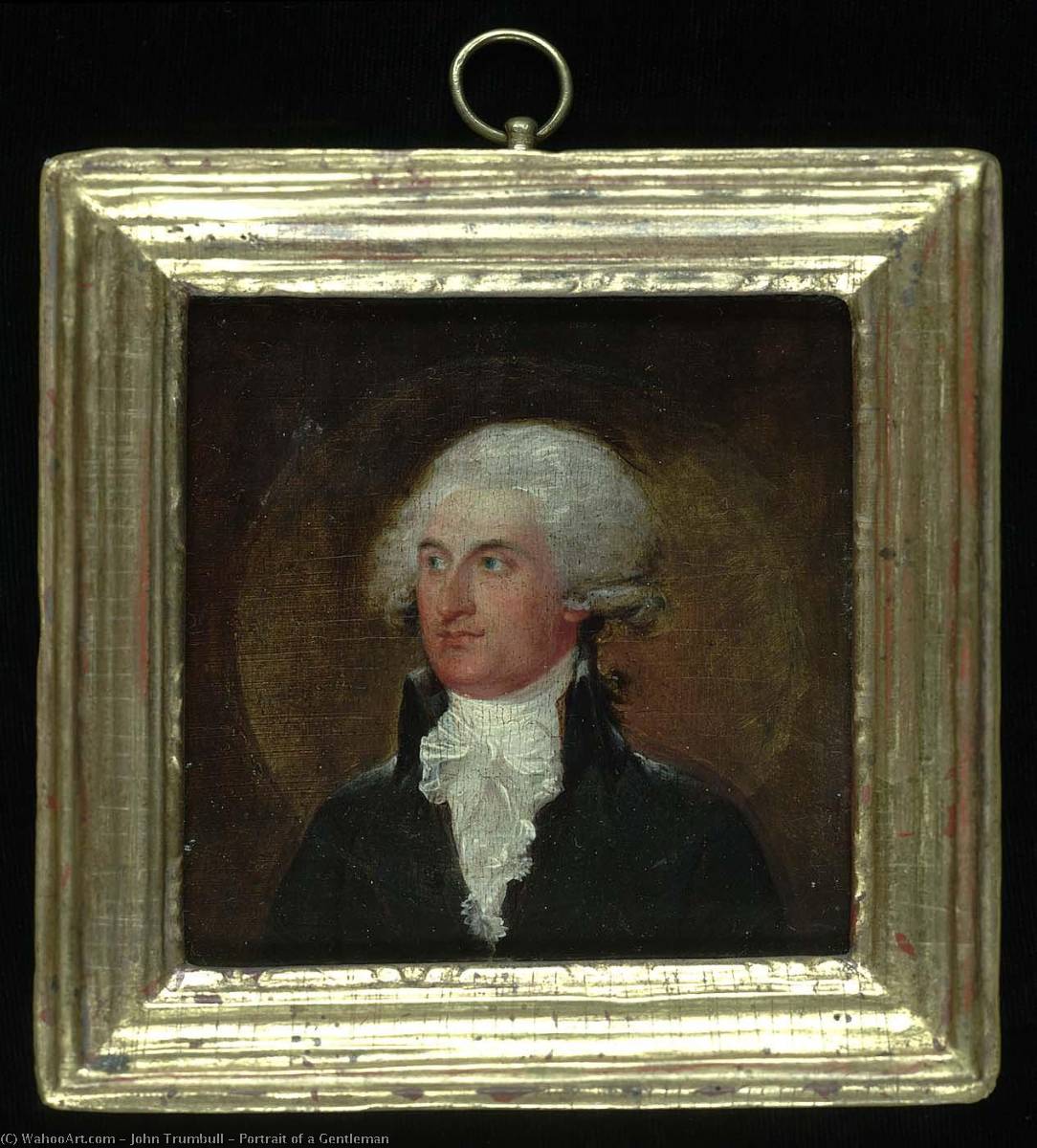 Wikioo.org - The Encyclopedia of Fine Arts - Painting, Artwork by John Trumbull - Portrait of a Gentleman
