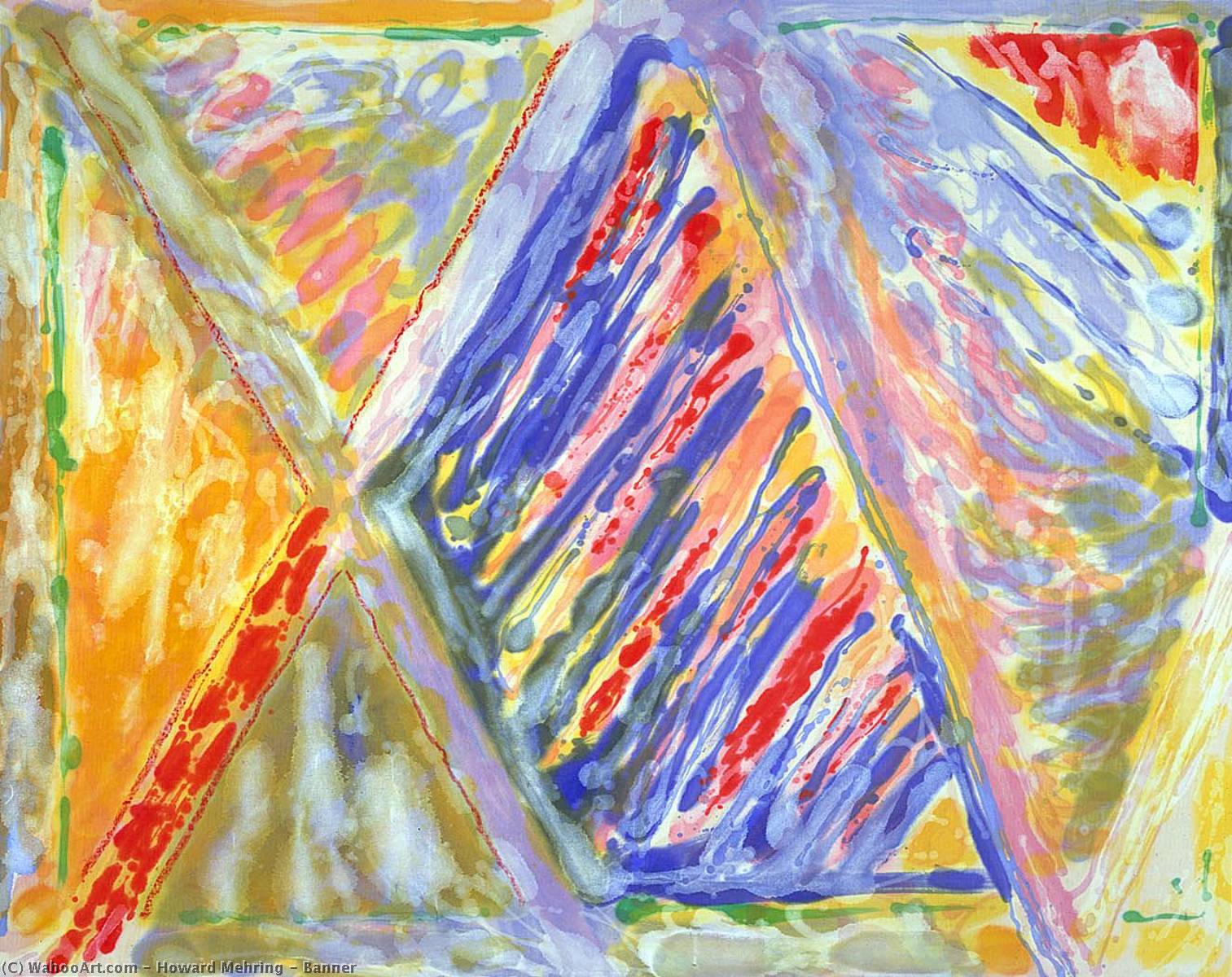 Wikioo.org - The Encyclopedia of Fine Arts - Painting, Artwork by Howard Mehring - Banner