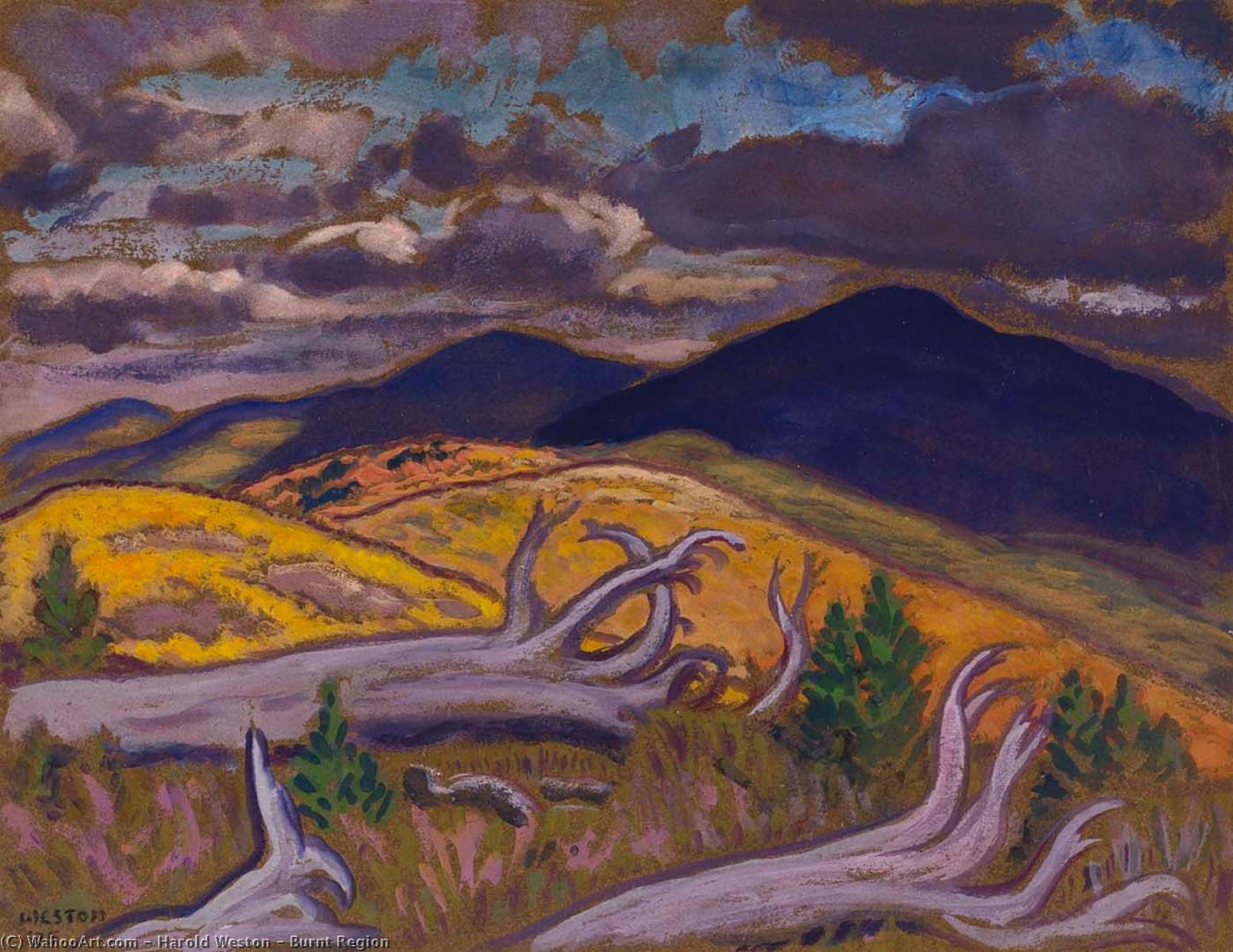 Wikioo.org - The Encyclopedia of Fine Arts - Painting, Artwork by Harold Weston - Burnt Region