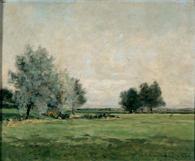 Wikioo.org - The Encyclopedia of Fine Arts - Painting, Artwork by Maxime Emile Louis Maufra - La prairie