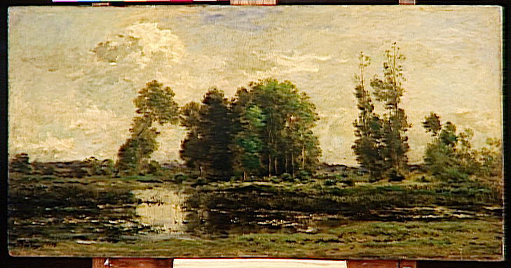 Wikioo.org - The Encyclopedia of Fine Arts - Painting, Artwork by Charles François Daubigny - L'ETANG