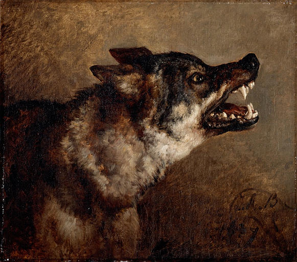 Wikioo.org - The Encyclopedia of Fine Arts - Painting, Artwork by Jacques Raymond Brascassat - Tête de loup
