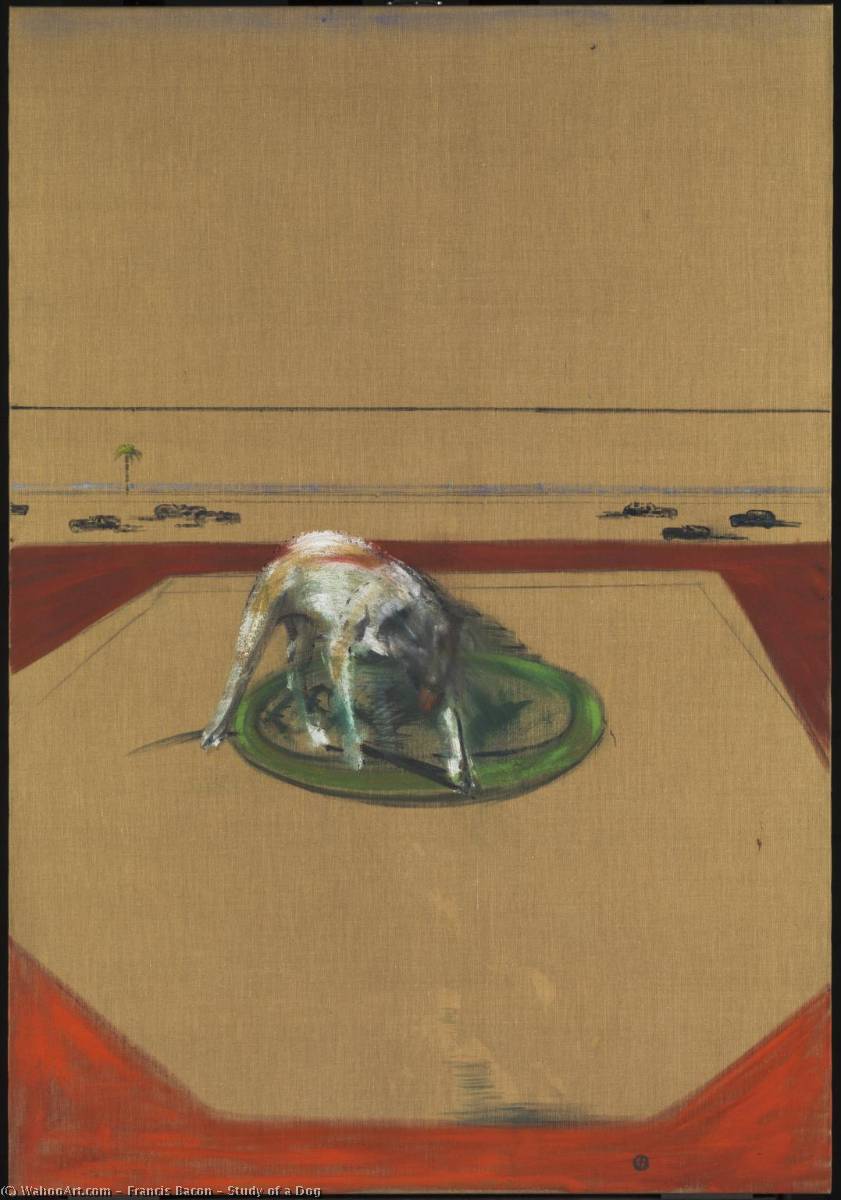 Wikioo.org - The Encyclopedia of Fine Arts - Painting, Artwork by Francis Bacon - Study of a Dog