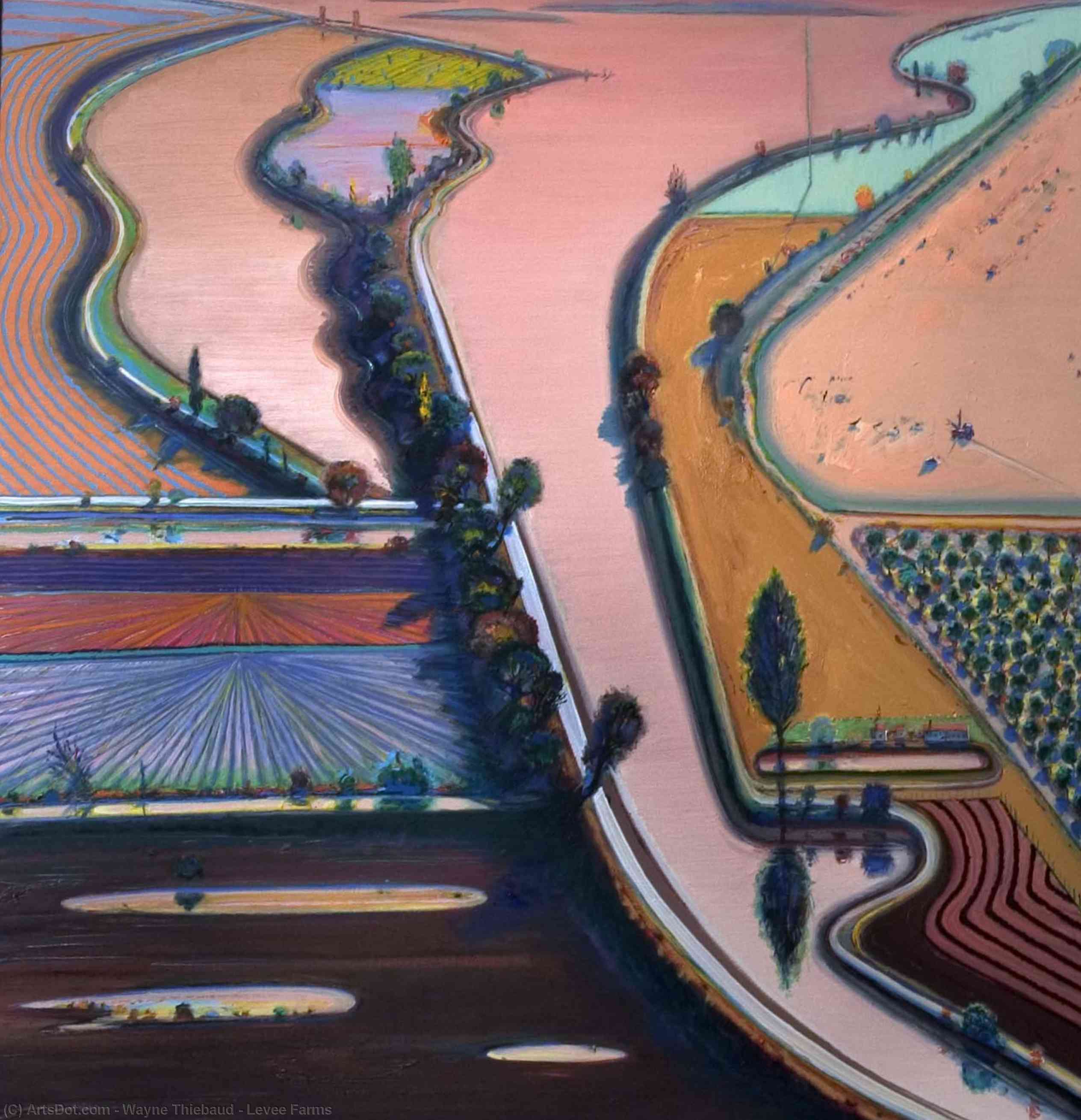 Wikioo.org - The Encyclopedia of Fine Arts - Painting, Artwork by Wayne Thiebaud - Levee Farms