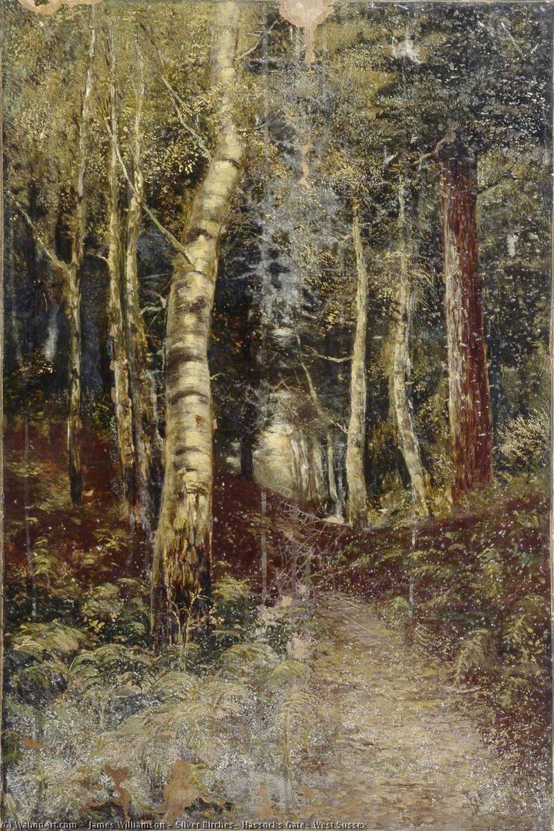 Wikioo.org - The Encyclopedia of Fine Arts - Painting, Artwork by James Williamson - Silver Birches, Hassocks Gate, West Sussex
