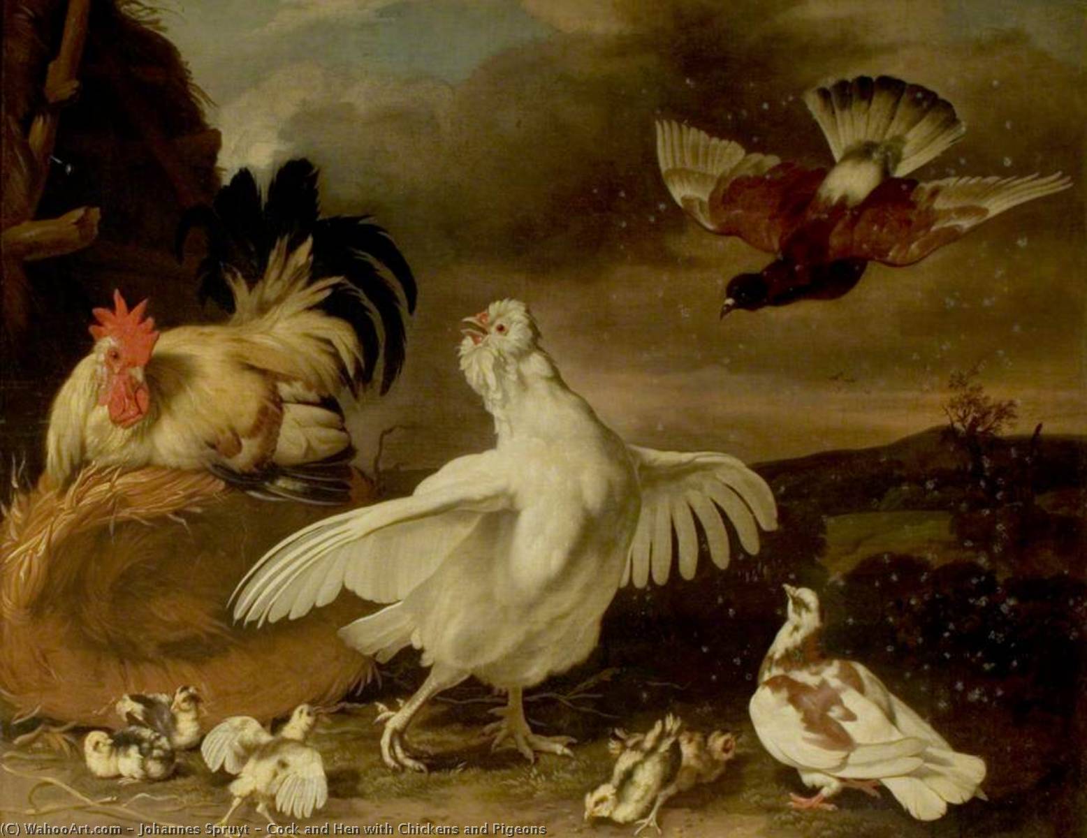 Wikioo.org - The Encyclopedia of Fine Arts - Painting, Artwork by Johannes Spruyt - Cock and Hen with Chickens and Pigeons