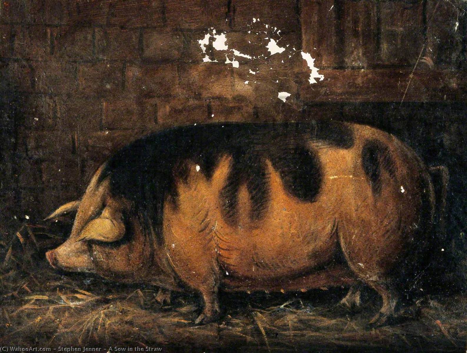 Wikioo.org - The Encyclopedia of Fine Arts - Painting, Artwork by Stephen Jenner - A Sow in the Straw