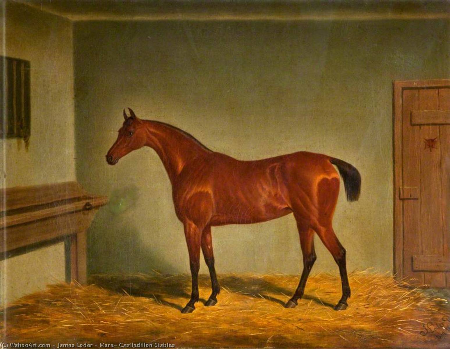 Wikioo.org - The Encyclopedia of Fine Arts - Painting, Artwork by James Loder - Mare, Castledillon Stables