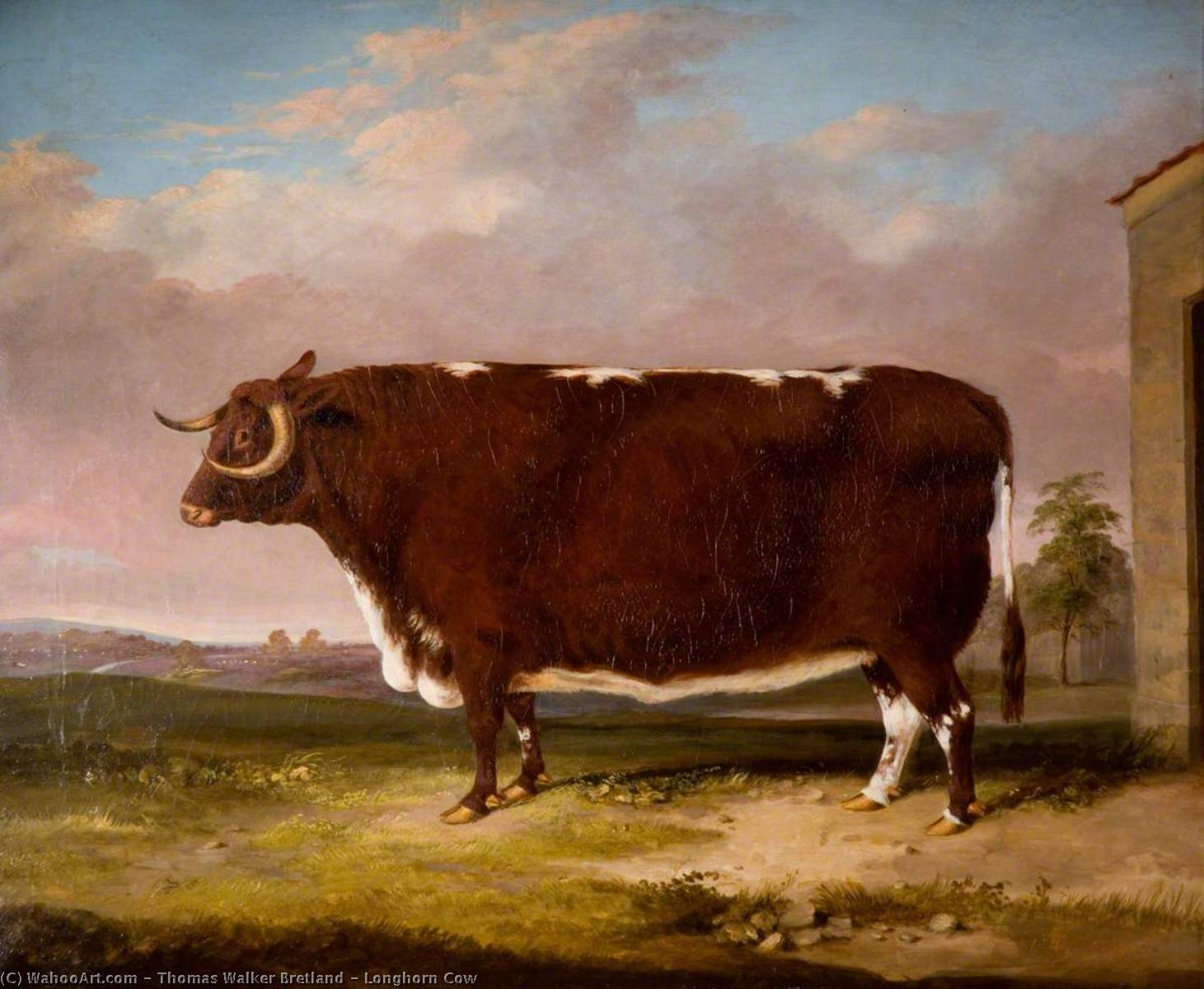 WikiOO.org - Енциклопедия за изящни изкуства - Живопис, Произведения на изкуството Thomas Walker Bretland - Longhorn Cow