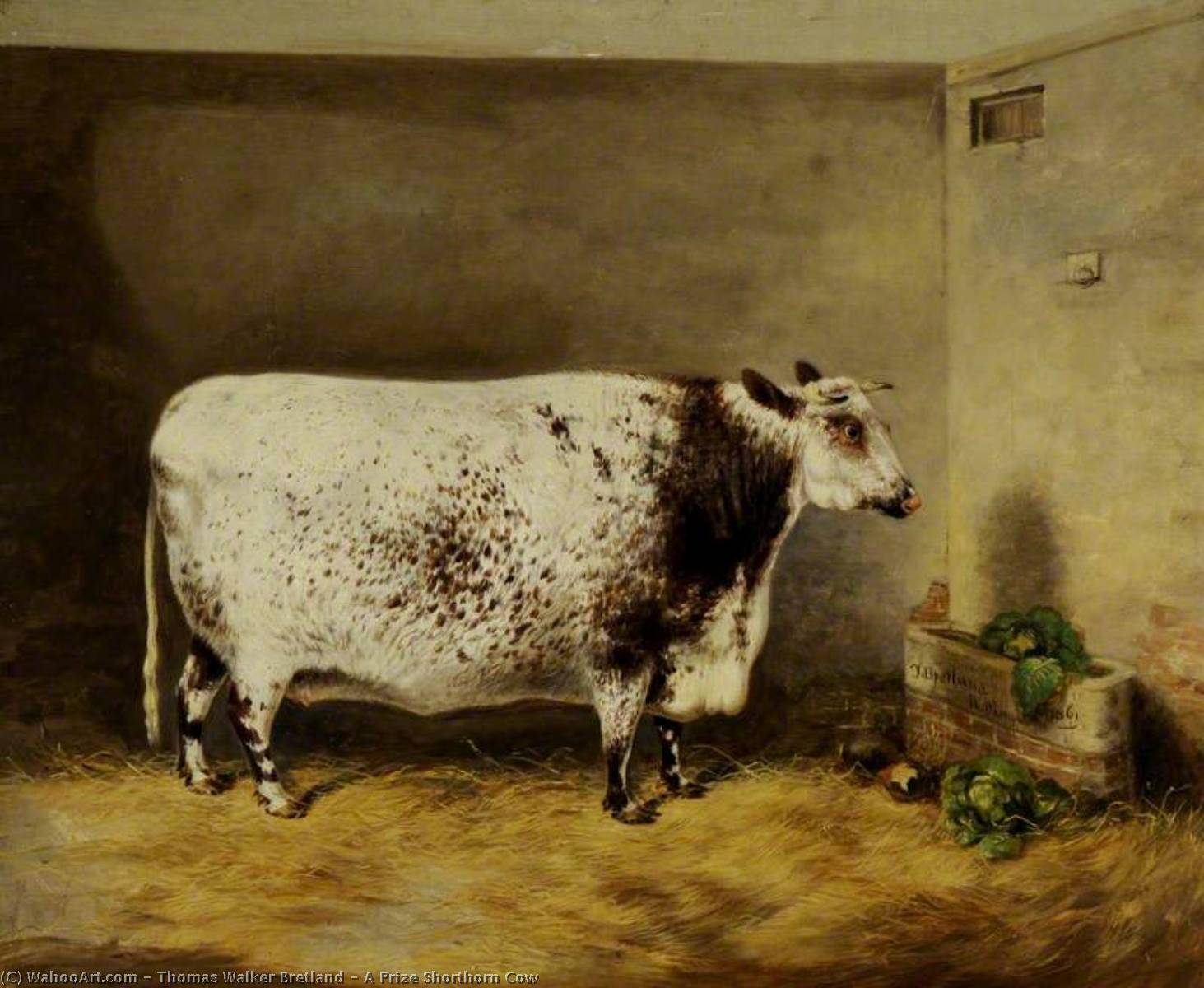 Wikioo.org - The Encyclopedia of Fine Arts - Painting, Artwork by Thomas Walker Bretland - A Prize Shorthorn Cow
