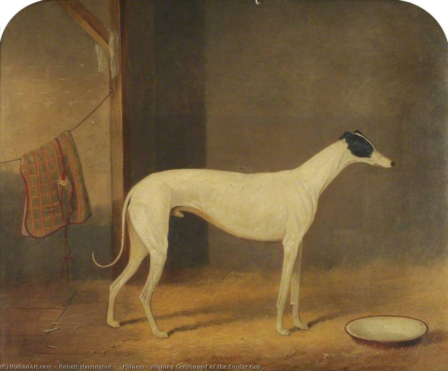Wikioo.org - The Encyclopedia of Fine Arts - Painting, Artwork by Robert Harrington - 'Pioneer' Winning Greyhound of the Border Cup