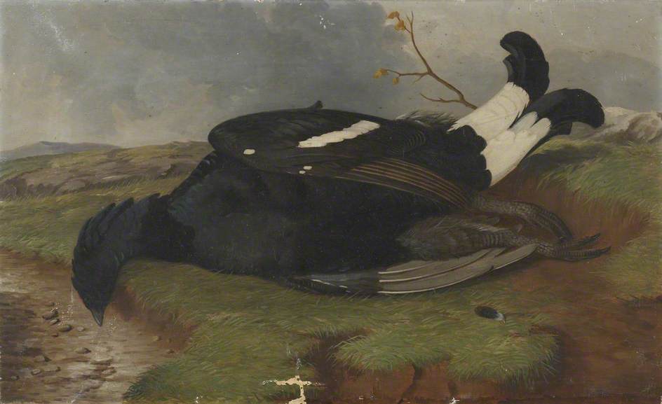 Wikioo.org - The Encyclopedia of Fine Arts - Painting, Artwork by Robert Harrington - Game Study Blackcock in a Landscape