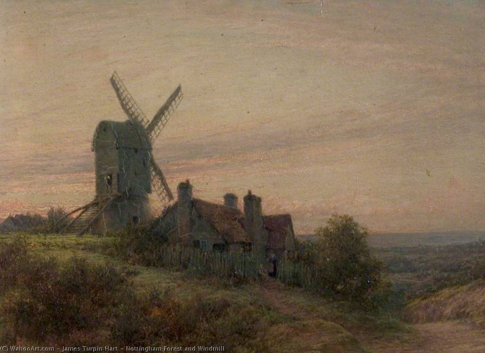 Wikioo.org - The Encyclopedia of Fine Arts - Painting, Artwork by James Turpin Hart - Nottingham Forest and Windmill
