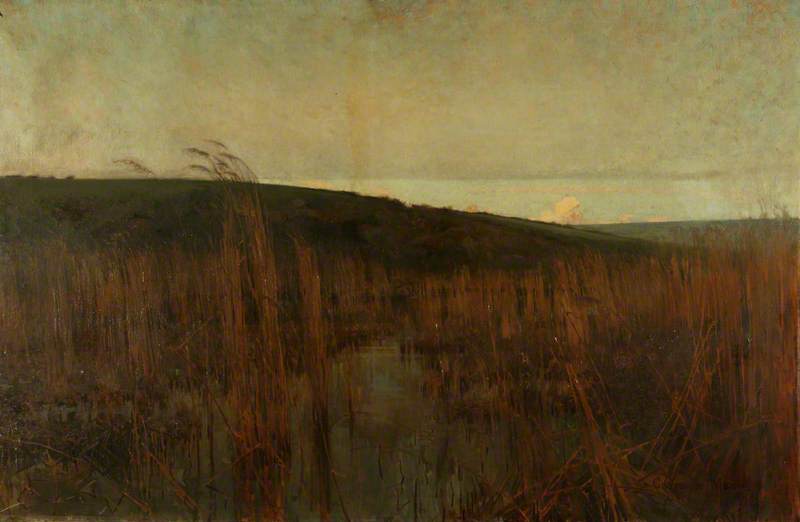 Wikioo.org - The Encyclopedia of Fine Arts - Painting, Artwork by Charles Greville Morris - Marshland
