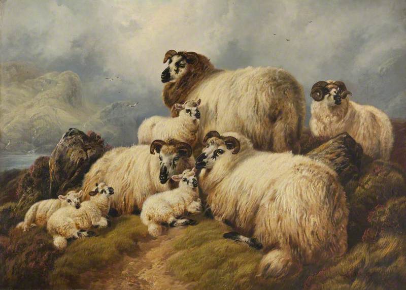 Wikioo.org - The Encyclopedia of Fine Arts - Painting, Artwork by Charles John Watson - Sheep