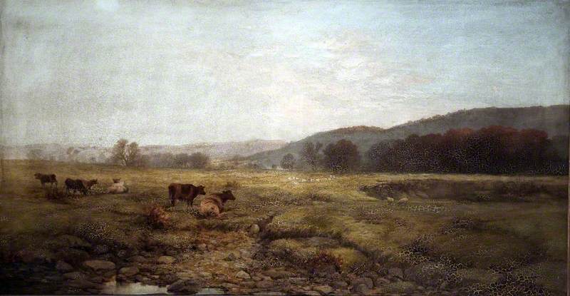 Wikioo.org - The Encyclopedia of Fine Arts - Painting, Artwork by Fred Tom Sibley - Cox's Meadow, Betws y Coed