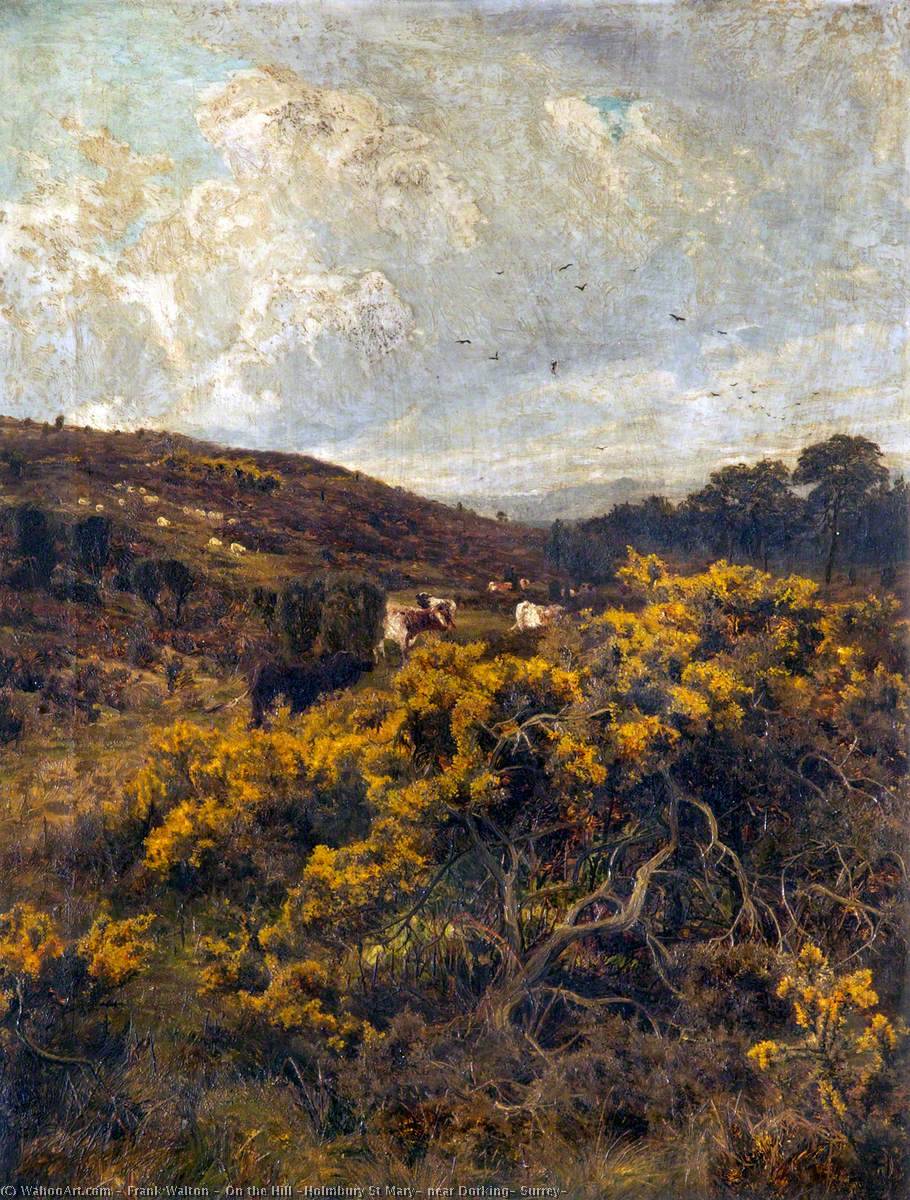 Wikioo.org - The Encyclopedia of Fine Arts - Painting, Artwork by Frank Walton - On the Hill (Holmbury St Mary, near Dorking, Surrey)