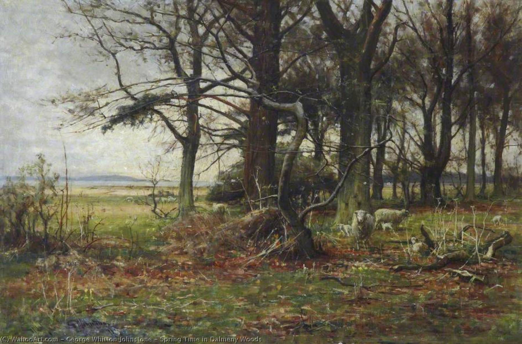 Wikioo.org - The Encyclopedia of Fine Arts - Painting, Artwork by George Whitton Johnstone - Spring Time in Dalmeny Woods