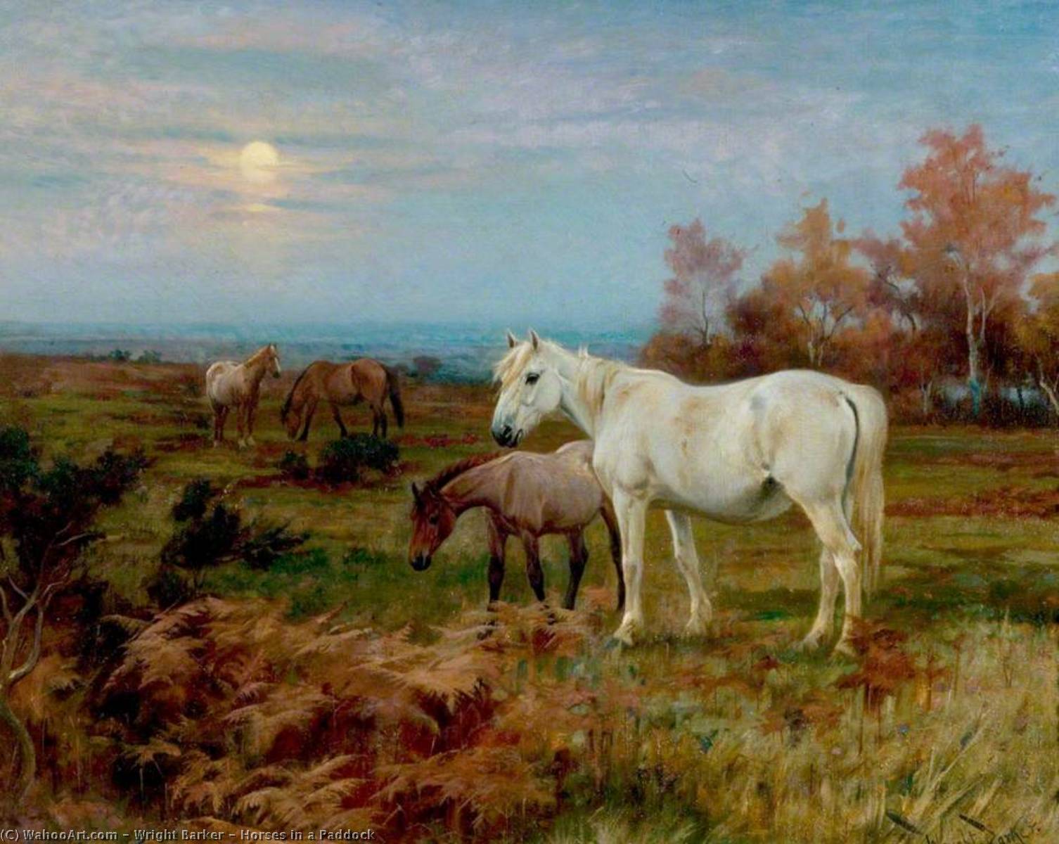 Wikioo.org - The Encyclopedia of Fine Arts - Painting, Artwork by Wright Barker - Horses in a Paddock