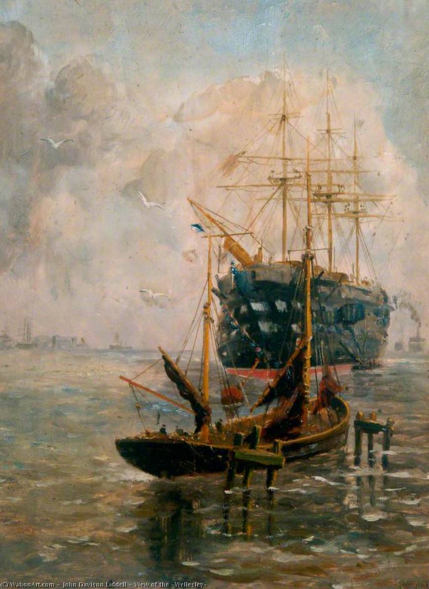 Wikioo.org - The Encyclopedia of Fine Arts - Painting, Artwork by John Davison Liddell - View of the 'Wellesley'