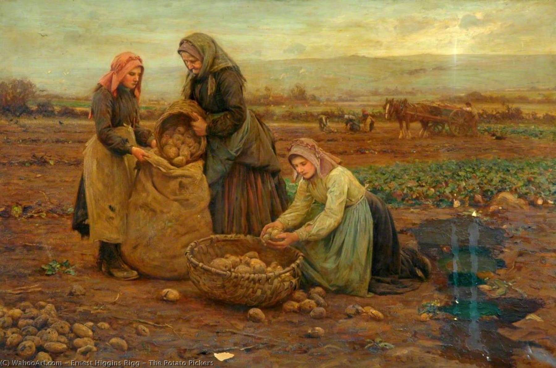 Wikioo.org - The Encyclopedia of Fine Arts - Painting, Artwork by Ernest Higgins Rigg - The Potato Pickers
