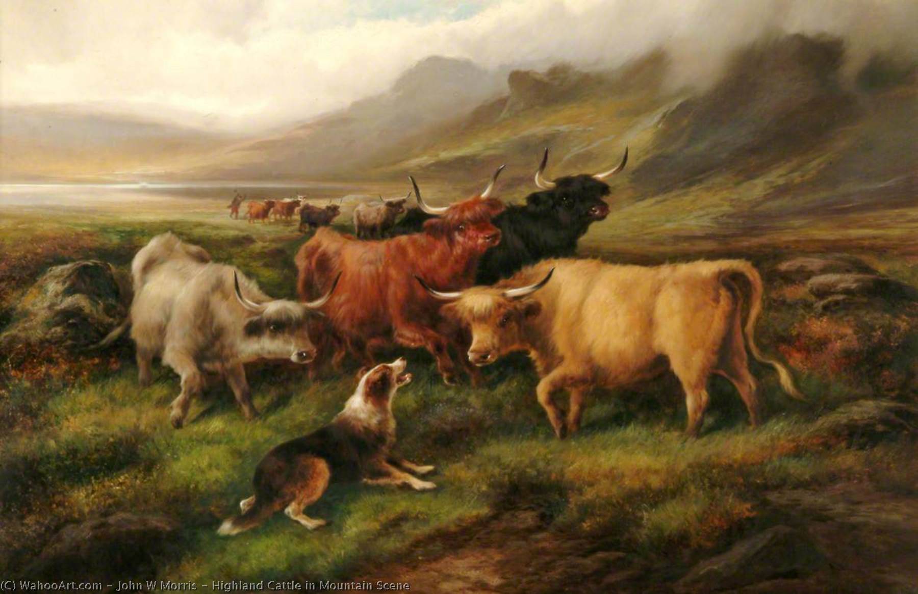 Wikioo.org - The Encyclopedia of Fine Arts - Painting, Artwork by John W Morris - Highland Cattle in Mountain Scene