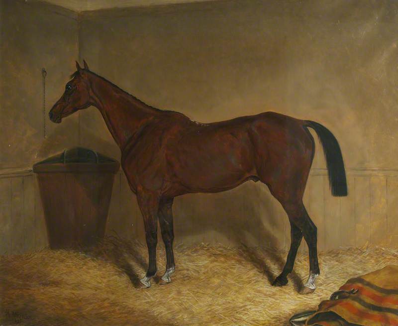 Wikioo.org - The Encyclopedia of Fine Arts - Painting, Artwork by Herbert D Atkinson - 'Star', a Bay Racehorse, in a Stable