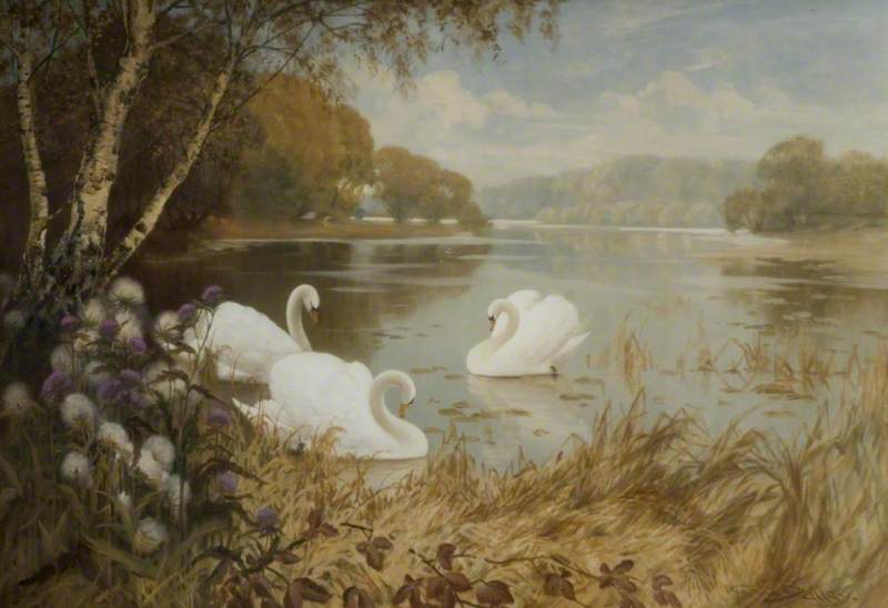 Wikioo.org - The Encyclopedia of Fine Arts - Painting, Artwork by Albert Edward Bailey - Landscape, Lake with Swans