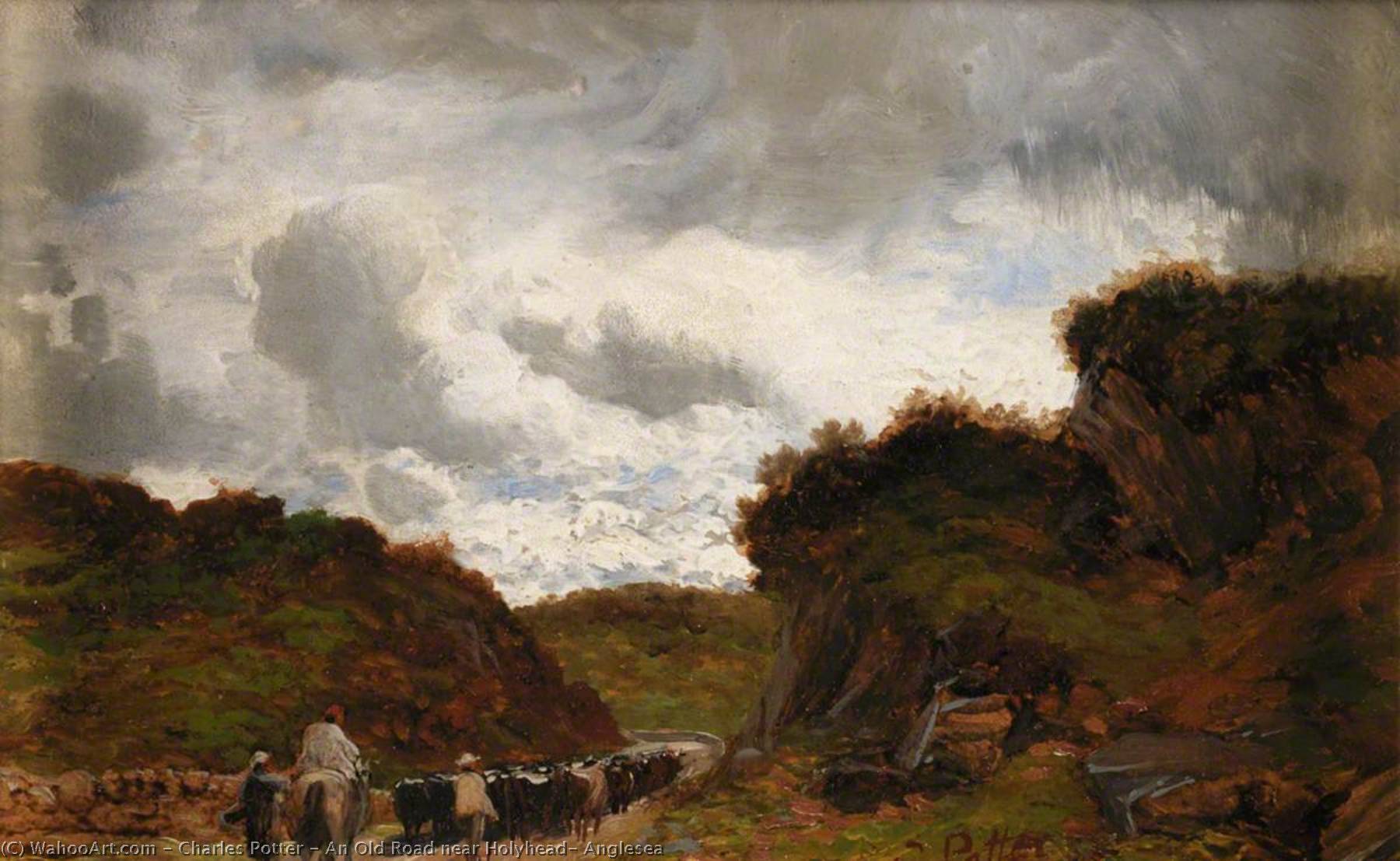 Wikioo.org - The Encyclopedia of Fine Arts - Painting, Artwork by Charles Potter - An Old Road near Holyhead, Anglesea