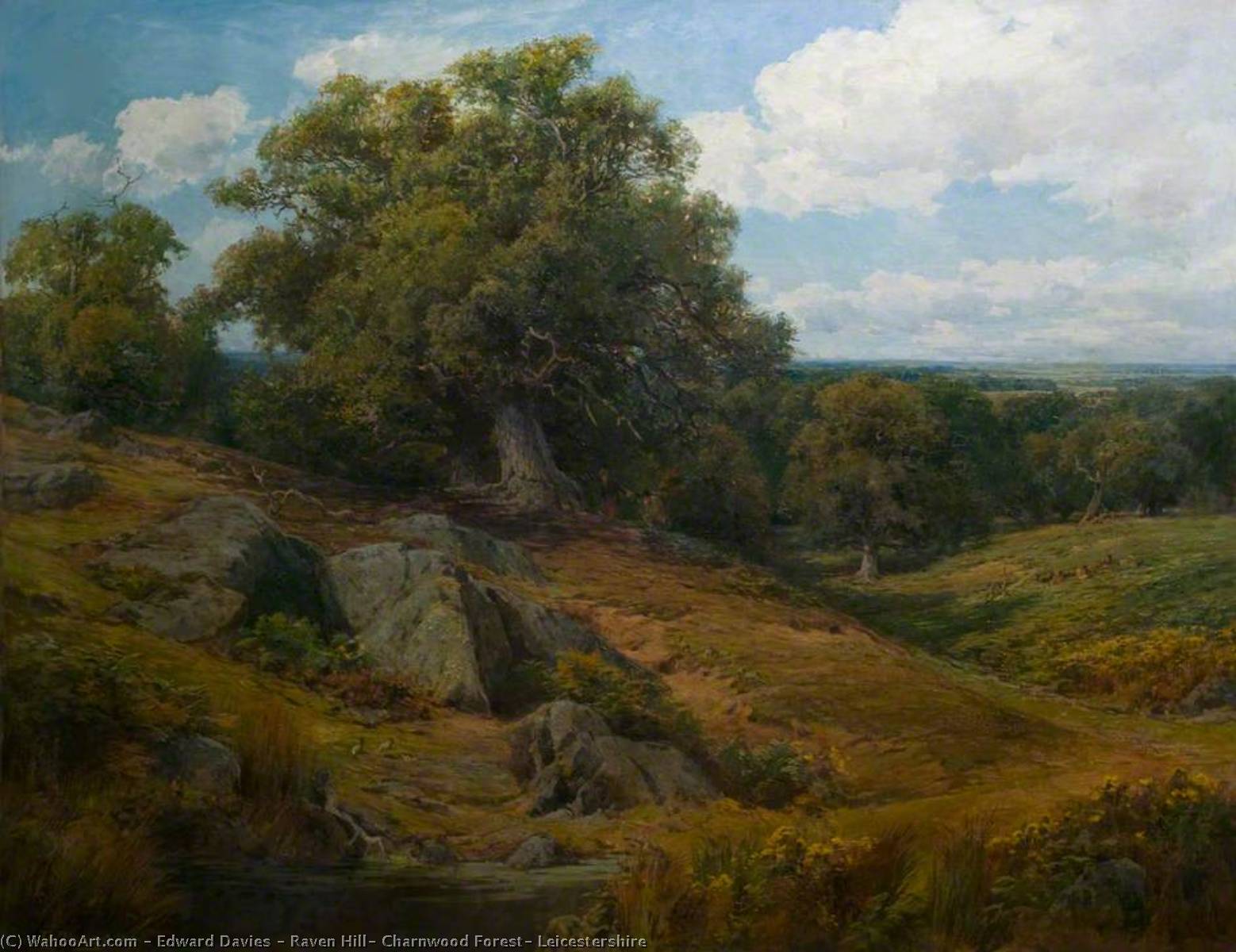 Wikioo.org - The Encyclopedia of Fine Arts - Painting, Artwork by Edward Davies - Raven Hill, Charnwood Forest, Leicestershire