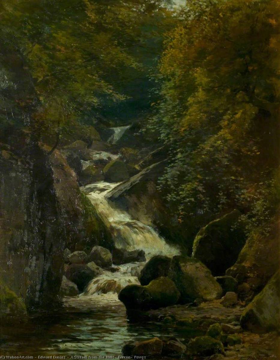 Wikoo.org - موسوعة الفنون الجميلة - اللوحة، العمل الفني Edward Davies - A Stream from the Hills, Brecon, Powys