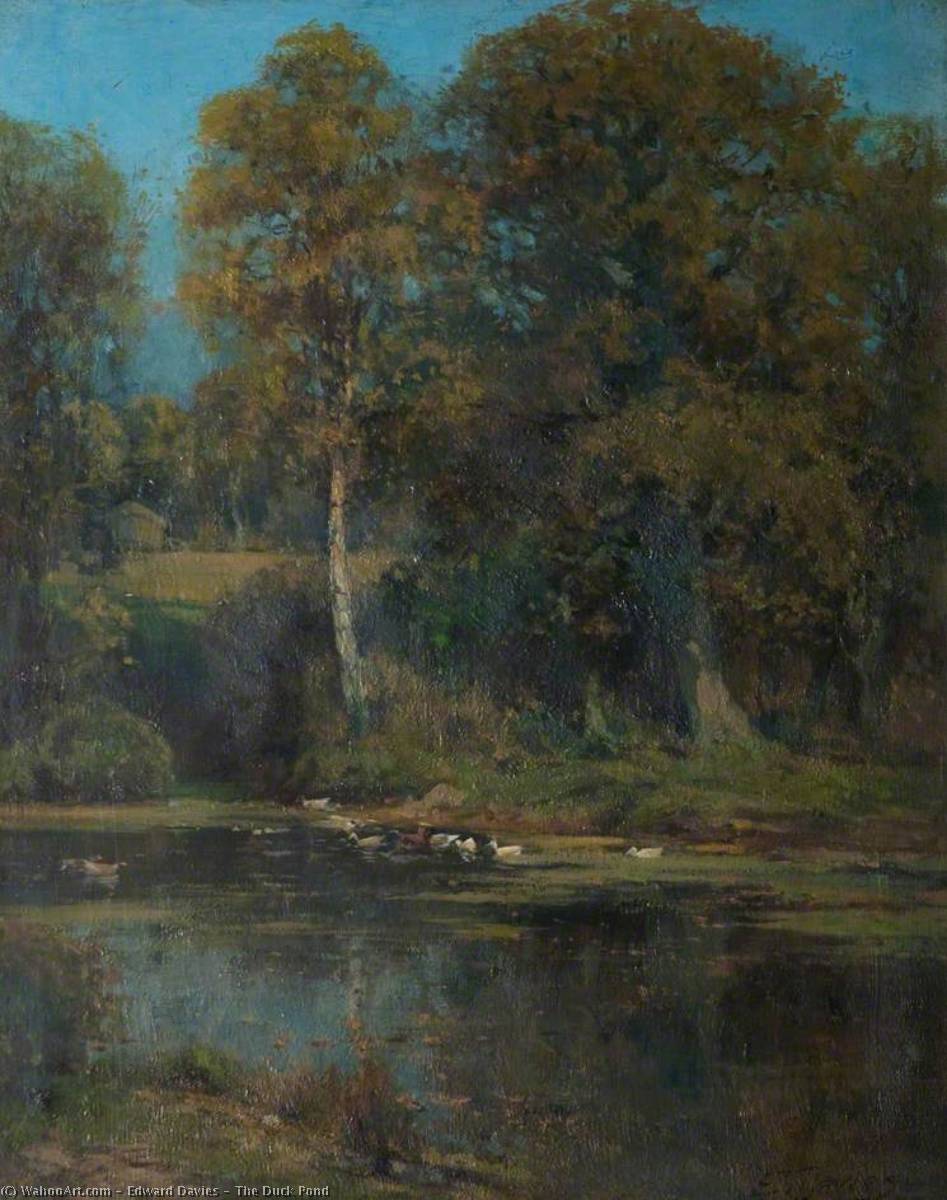 Wikioo.org - The Encyclopedia of Fine Arts - Painting, Artwork by Edward Davies - The Duck Pond