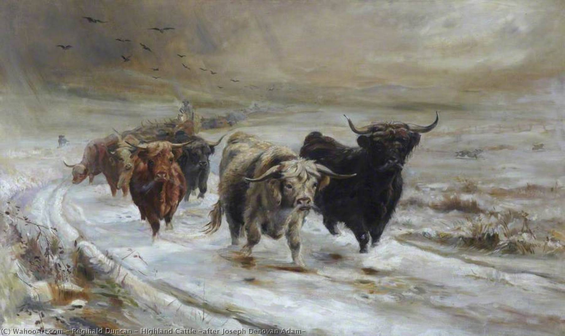 Wikioo.org - The Encyclopedia of Fine Arts - Painting, Artwork by Reginald Duncan - Highland Cattle (after Joseph Denovan Adam)