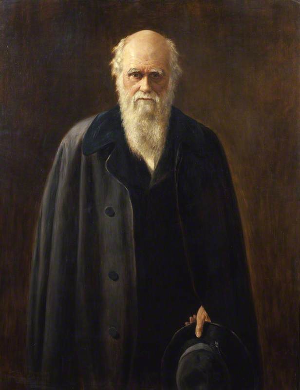 Wikioo.org - The Encyclopedia of Fine Arts - Painting, Artwork by Mabel Beatrice Messer - Charles Darwin (1809–1882) (after John Collier)