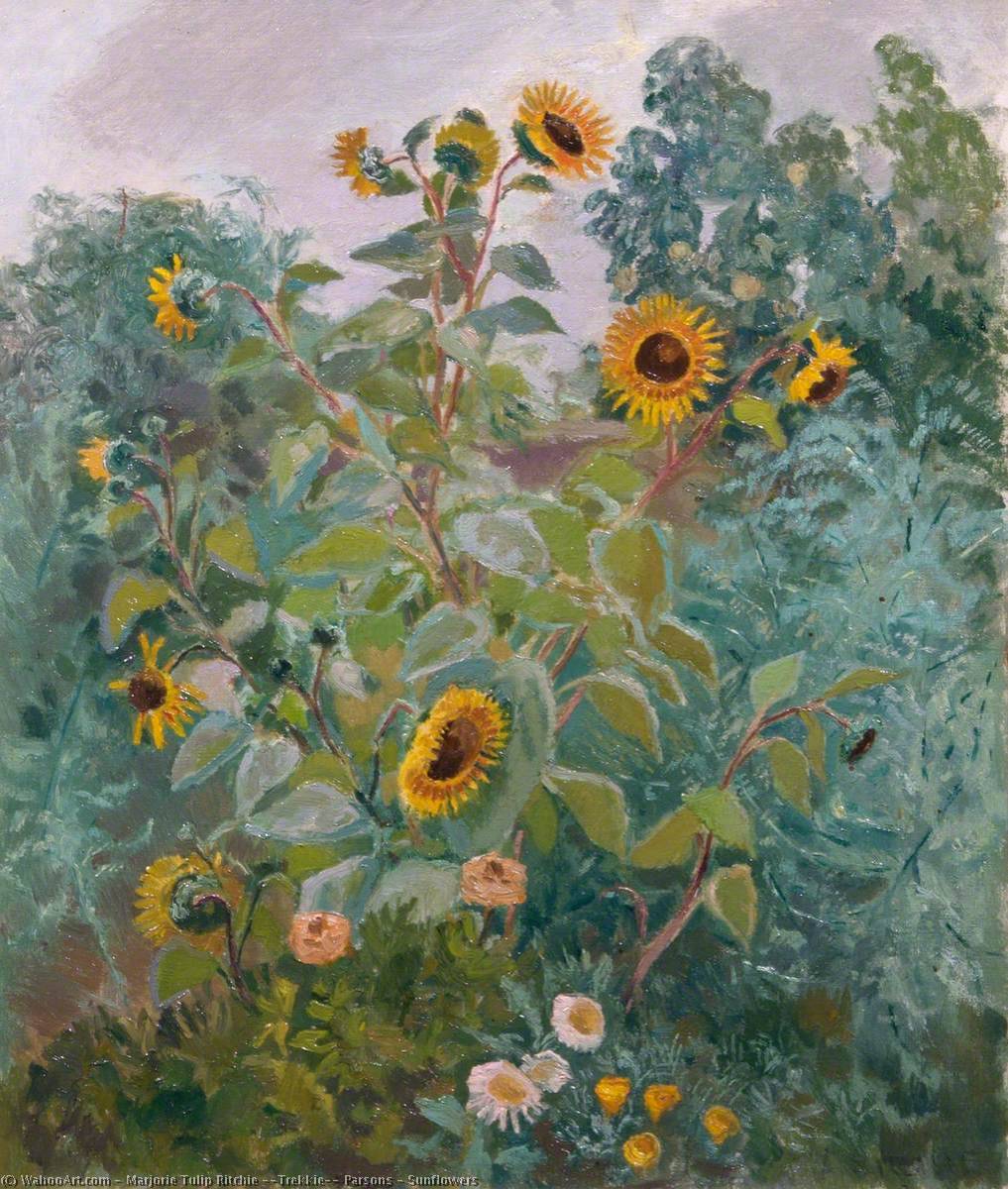 Wikioo.org - The Encyclopedia of Fine Arts - Painting, Artwork by Marjorie Tulip Ritchie ('Trekkie') Parsons - Sunflowers