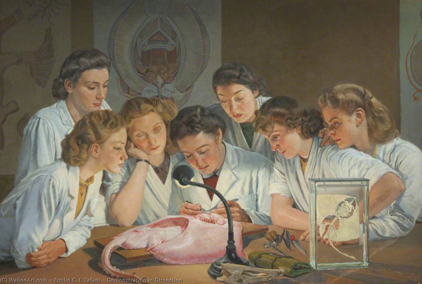 Wikioo.org - The Encyclopedia of Fine Arts - Painting, Artwork by Emilio C. L Tafani - Demonstration in Dissection