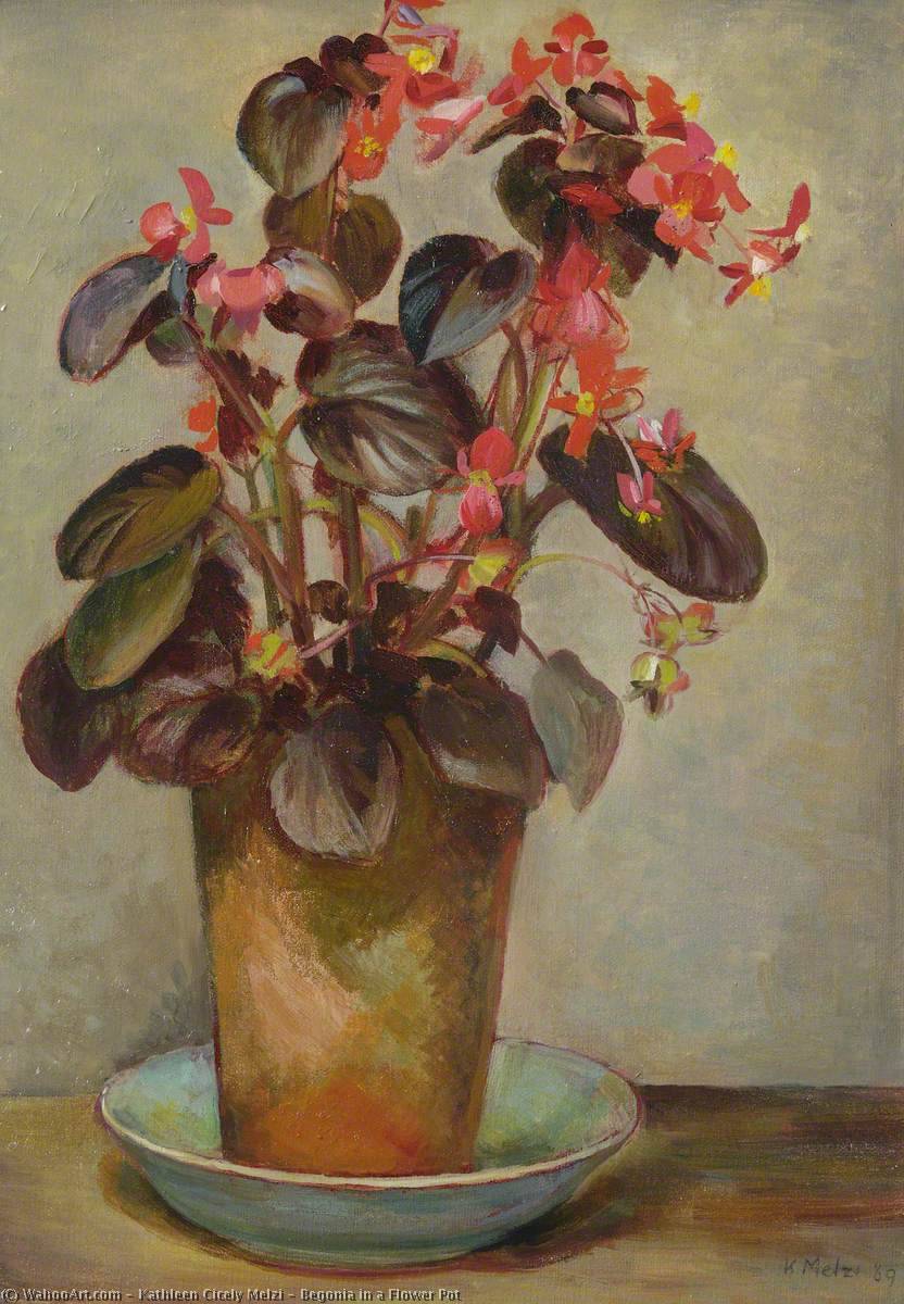 Wikioo.org - The Encyclopedia of Fine Arts - Painting, Artwork by Kathleen Cicely Melzi - Begonia in a Flower Pot