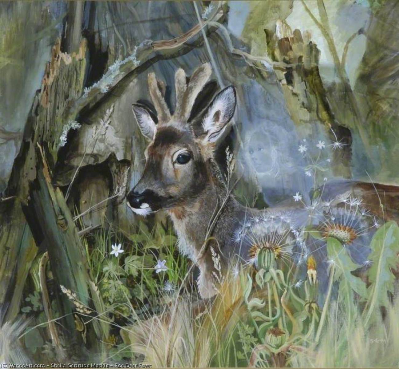 WikiOO.org - 백과 사전 - 회화, 삽화 Sheila Gertrude Mackie - Roe Deer Fawn